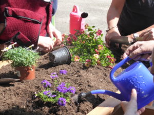 20160512_AG-JNR_Neuchâtel_HomeErmitage_JardinThérapeuthique_ 13
