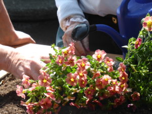 20160512_AG-JNR_Neuchâtel_HomeErmitage_JardinThérapeuthique_ 5